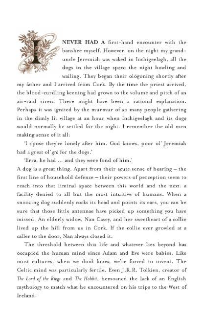 An Irish Folklore Treasury (History/Irish)