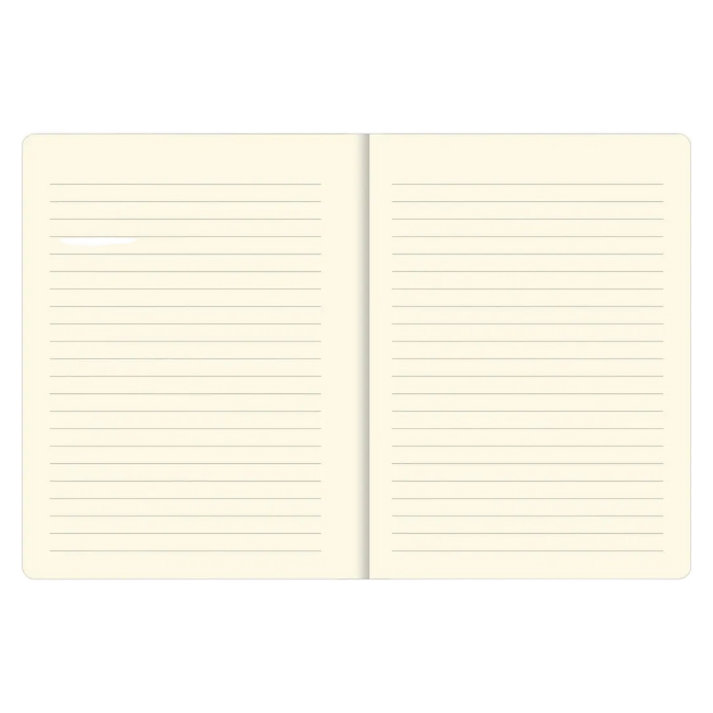 Double-sided lined pages bound in a book.