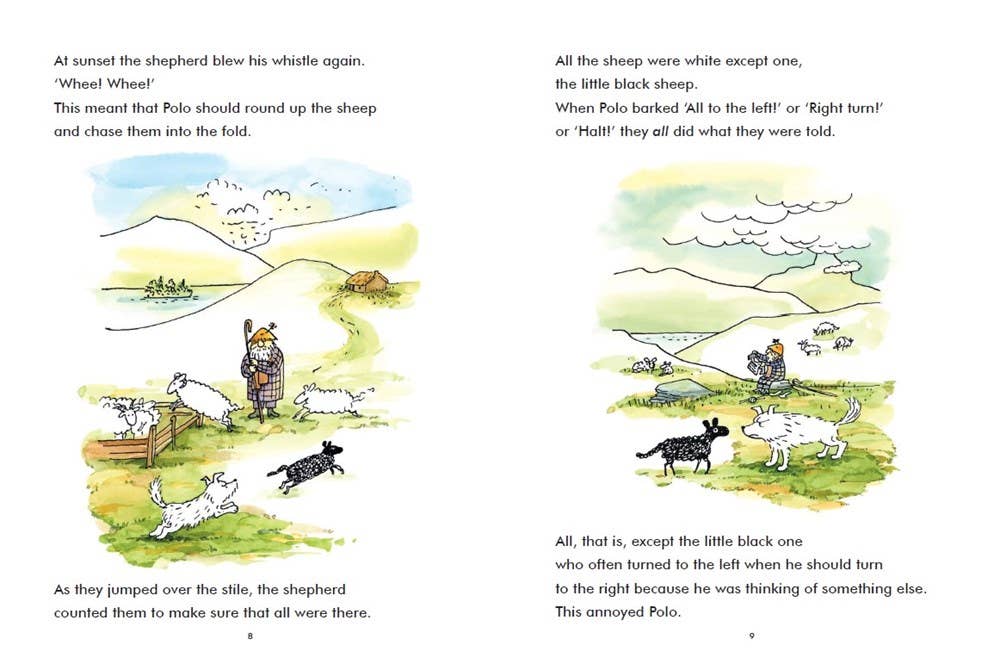 The Little Black Sheep of Connemara