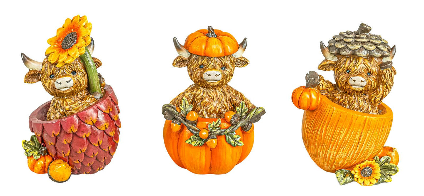 Three decorative Highland cow figurines styled for autumn, each sitting inside a pumpkin or acorn-shaped bowl with seasonal accents like sunflowers, pumpkins, and leaves, shown on a plain white background.