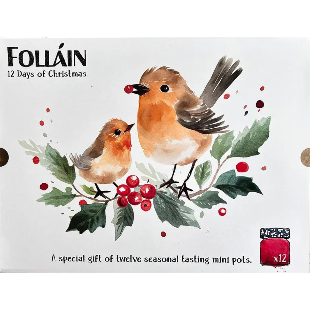 Folláin 12 Days of Christmas Preserves Gift Set