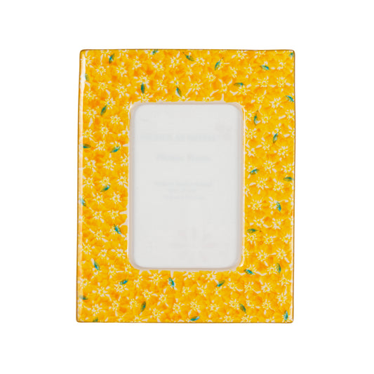 Nicholas Mosse Yellow Lawn Frame