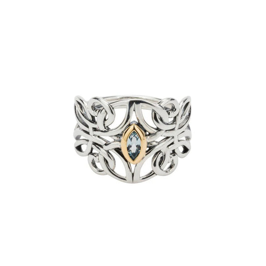 Silver ring with a central gemstone on a white background