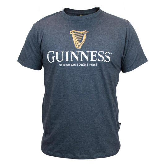 A grey t-shirt with the word Guinness and a harp logo printed on the front. 
