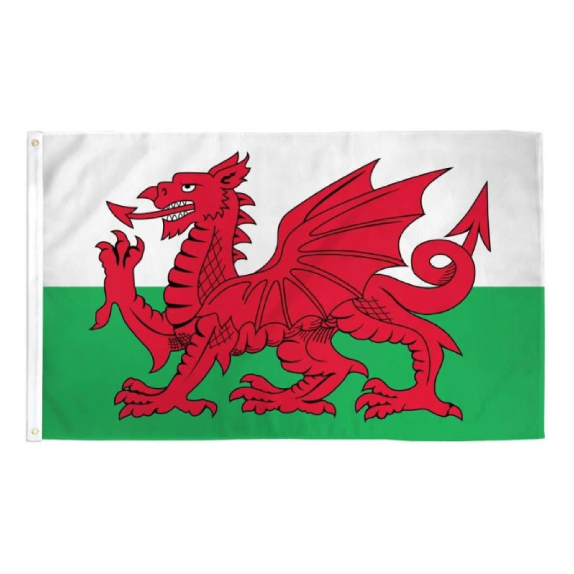 Welsh flag with a red dragon on a white and green background