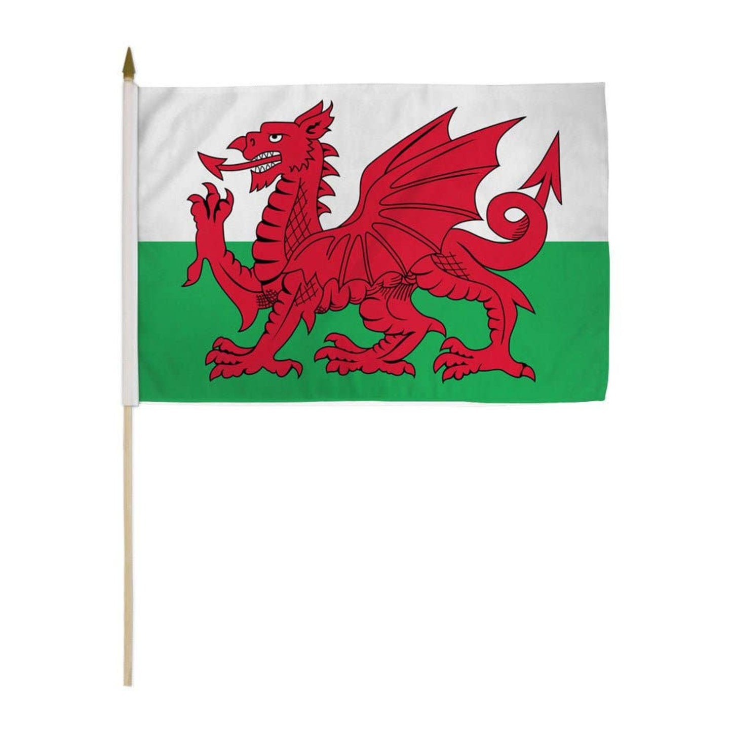 Welsh flag with a red dragon on a white and green background