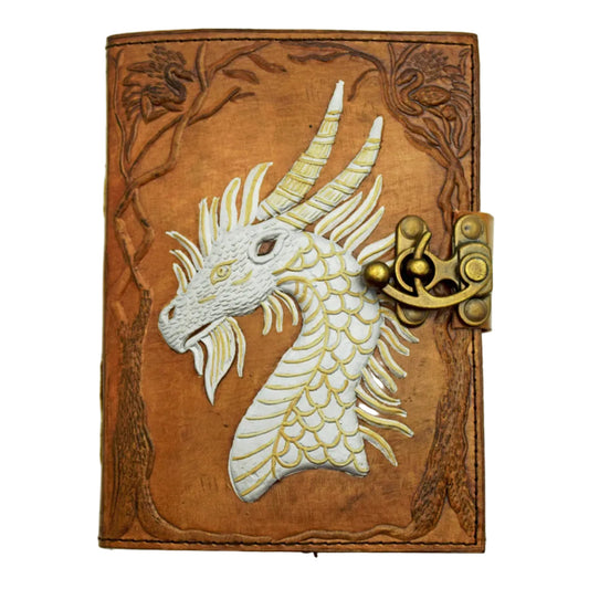 Leather-bound book with embossed dragon design and brass lock on a white background